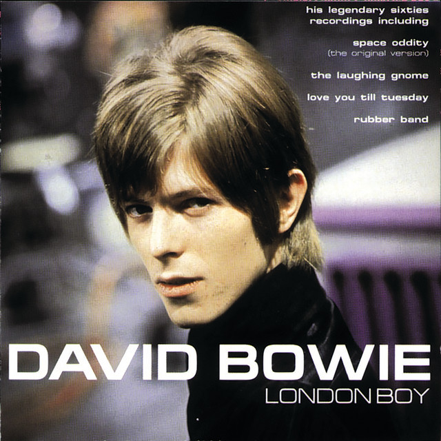 کاور آهنگ Please Mr. Gravedigger از David Bowie
