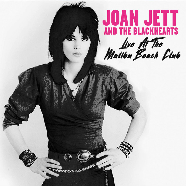 کاور آهنگ You Don't Know What You've Got - Live از Joan Jett & the Blackhearts