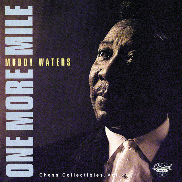 کاور آهنگ I Got To Find My Baby از Muddy Waters