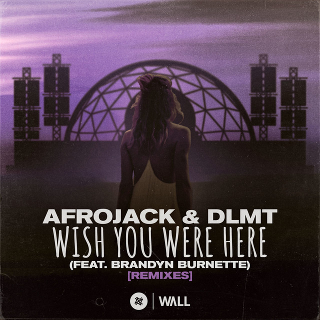کاور آهنگ Wish You Were Here (feat. Brandyn Burnette) - Karim Meknassi Remix از AFROJACK