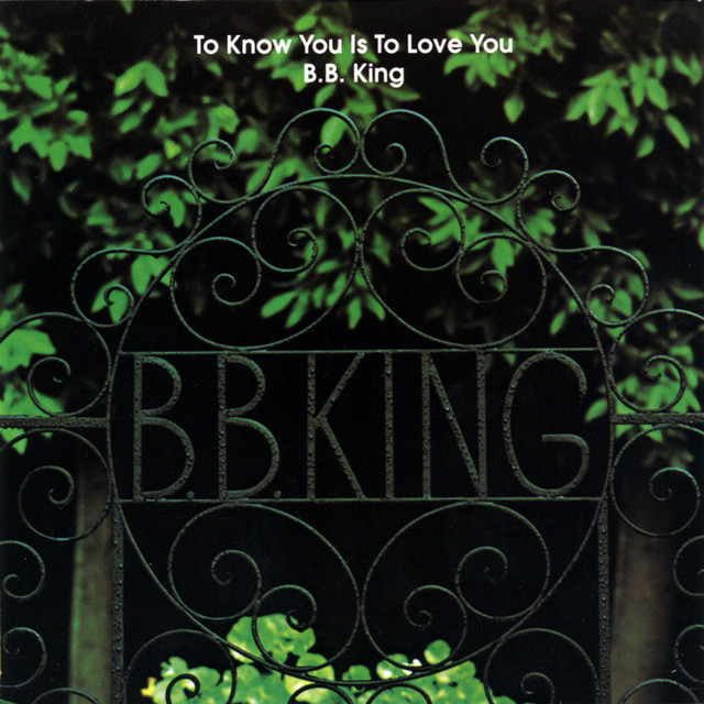 کاور آهنگ I Like To Live The Love از B.B. King