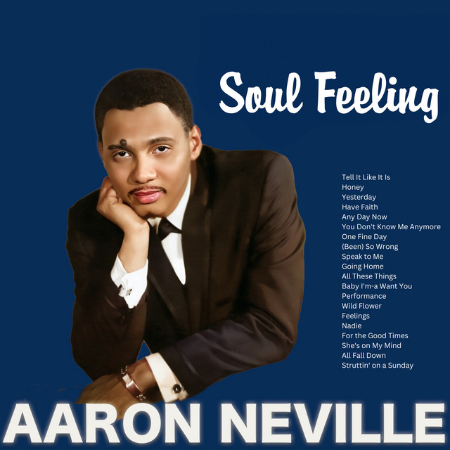 کاور آهنگ You Don't Love Me Anymore از Aaron Neville