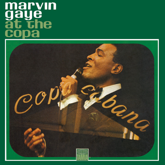 کاور آهنگ Ain't That Peculiar - Live از Marvin Gaye