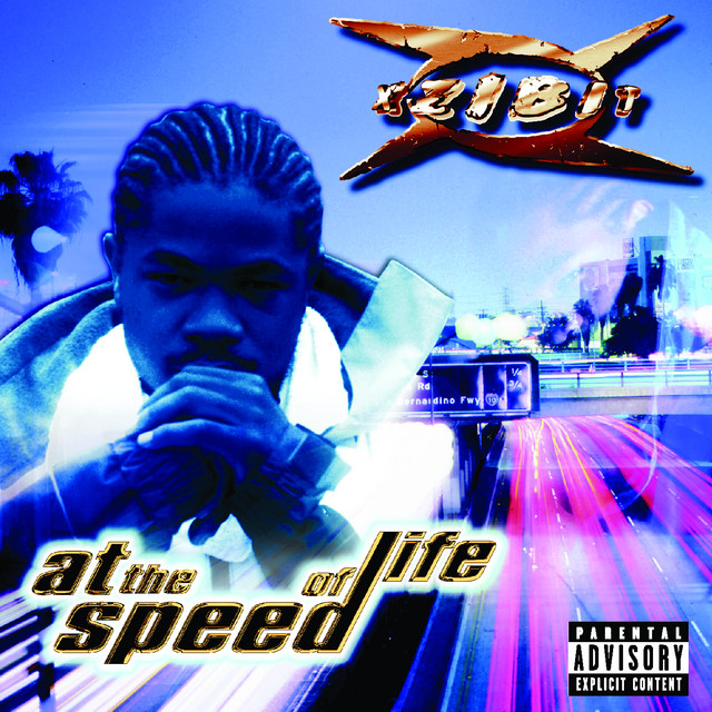 کاور آهنگ Paparazzi از Xzibit