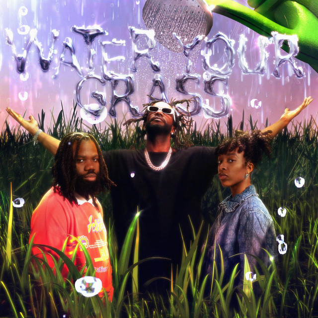 کاور آهنگ Water Your Grass - Radio Edit از Juicy J
