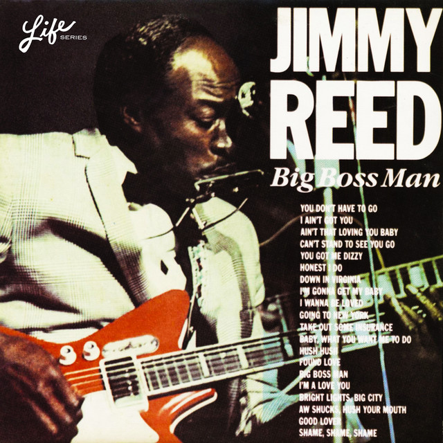 کاور آهنگ Baby What You Want Me to Do از Jimmy Reed
