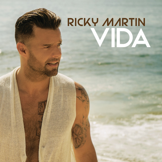 کاور آهنگ Vida (Dudu Borges Remix) از Ricky Martin