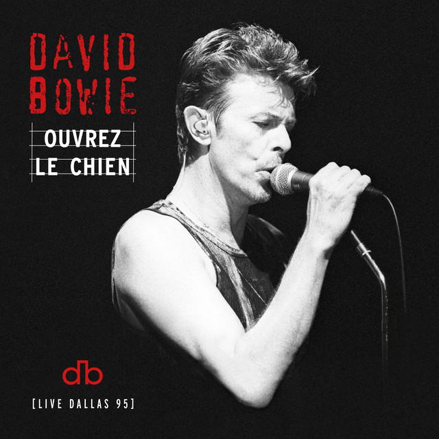 کاور آهنگ We Pr!%k You - Live at the Starplex Amphitheater, Dallas, 13th October, 1995 از David Bowie