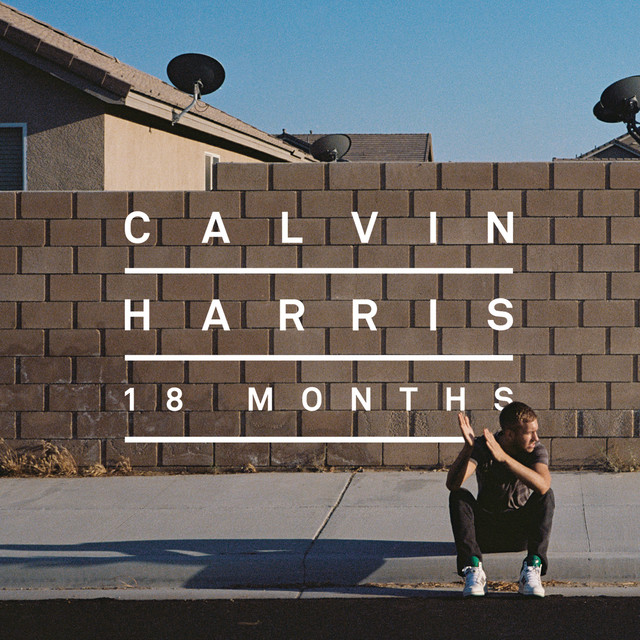 کاور آهنگ I Need Your Love (feat. Ellie Goulding) از Calvin Harris, Ellie Goulding