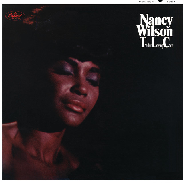 کاور آهنگ Don't Go To Strangers از Nancy Wilson