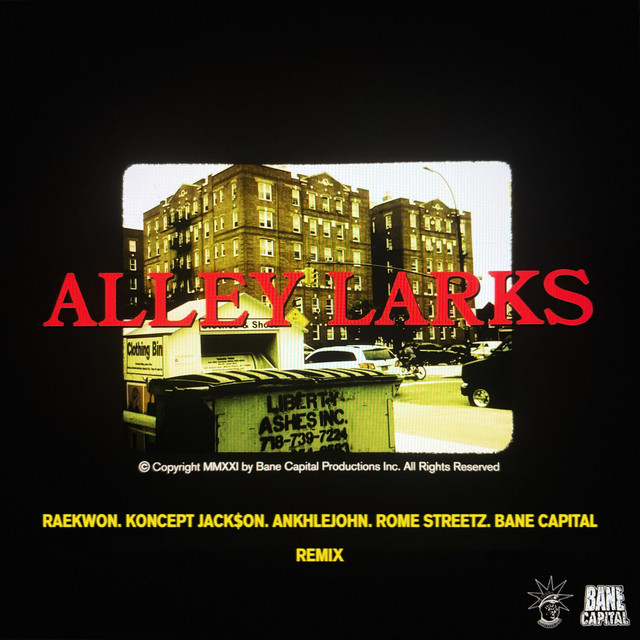 کاور آهنگ Alley Larks - Remix از Raekwon