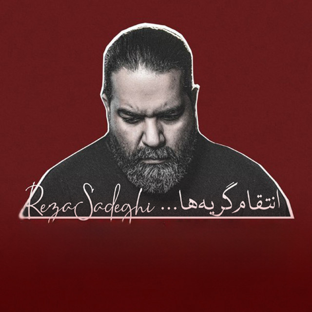 کاور آهنگ انتقام گریه‌ها از رضا صادقی