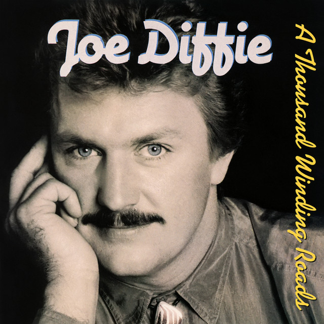 کاور آهنگ Coolest Fool In Town از Joe Diffie