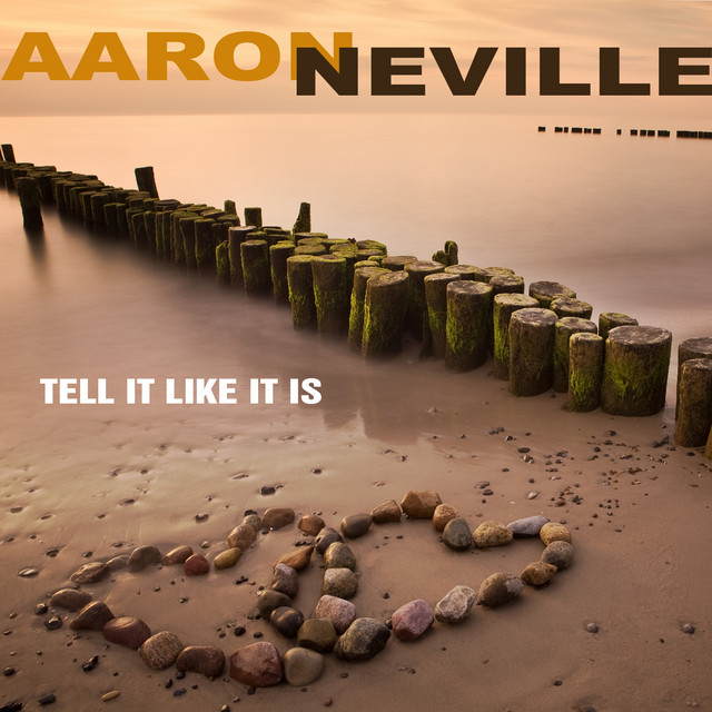 کاور آهنگ She's on My Mind از Aaron Neville