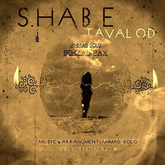 کاور آهنگ شب تولد از احمد سلو, Behzad Pax