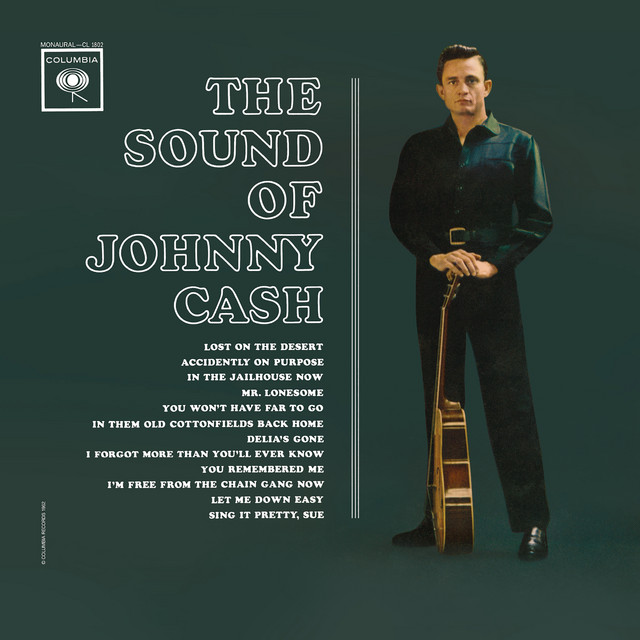 کاور آهنگ I Forgot More Than You'll Ever Know از Johnny Cash