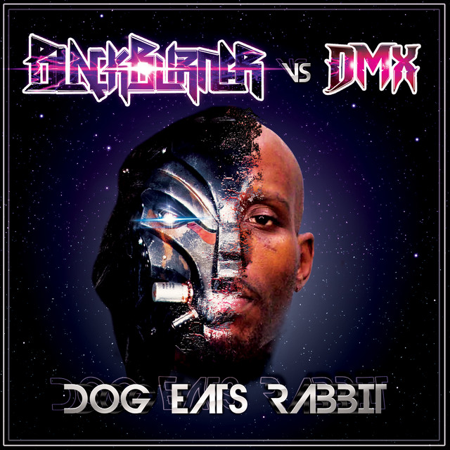 کاور آهنگ Sin (Blackburner Vs. DMX) از DMX