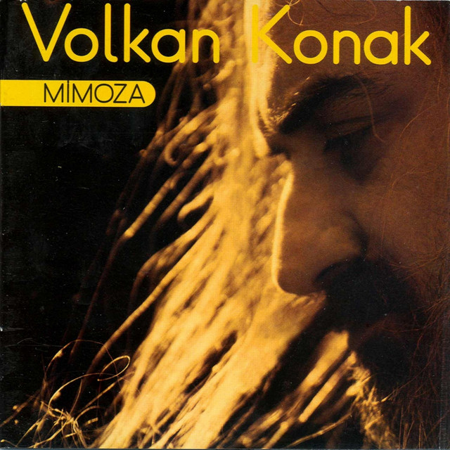 کاور آهنگ Göklerde Kartal Gibiydim از Volkan Konak
