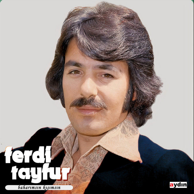 کاور آهنگ Çok Geç Anladım از Ferdi Tayfur