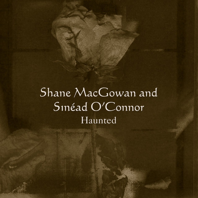 کاور آهنگ The Song With No Name از Shane MacGowan & The Popes