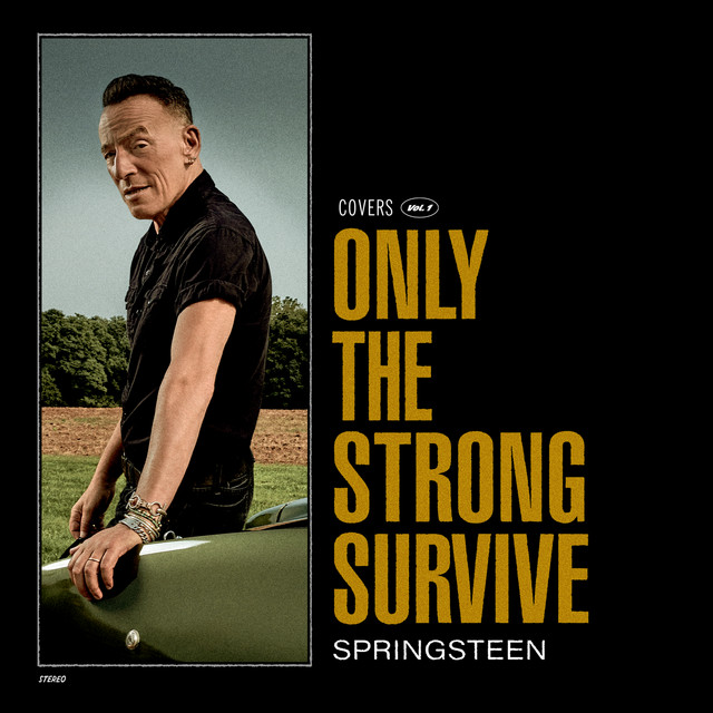 کاور آهنگ Do I Love You (Indeed I Do) از Bruce Springsteen