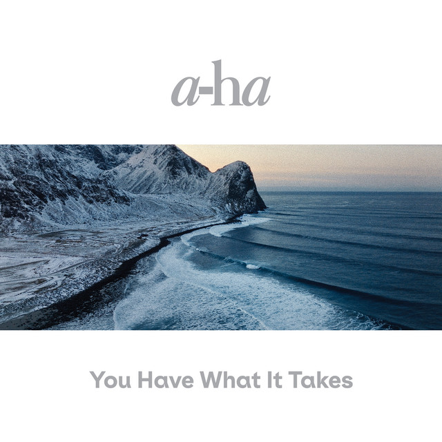 کاور آهنگ You Have What It Takes - Radio Edit از a-ha