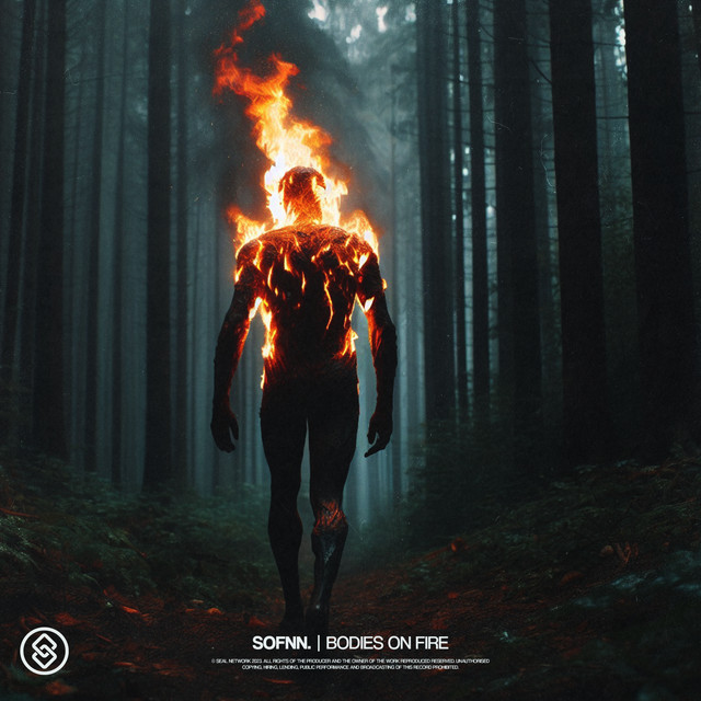 کاور آهنگ Bodies On Fire - Extended Mix از Sofnn.