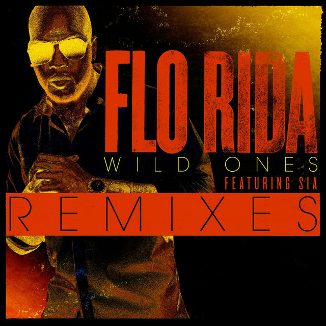 کاور آهنگ Wild Ones (feat. Sia) - Basto Remix از Sia, Flo Rida, Basto