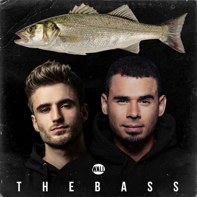 کاور آهنگ The Bass از AFROJACK, Chico Rose