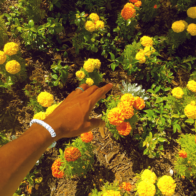 کاور آهنگ Peach Fuzz از Tyler, The Creator