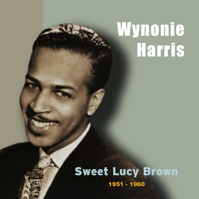 کاور آهنگ Drinkin' Sherry Wine از Wynonie Harris