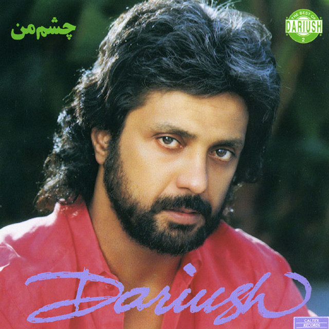 کاور آهنگ شهر غم از داریوش