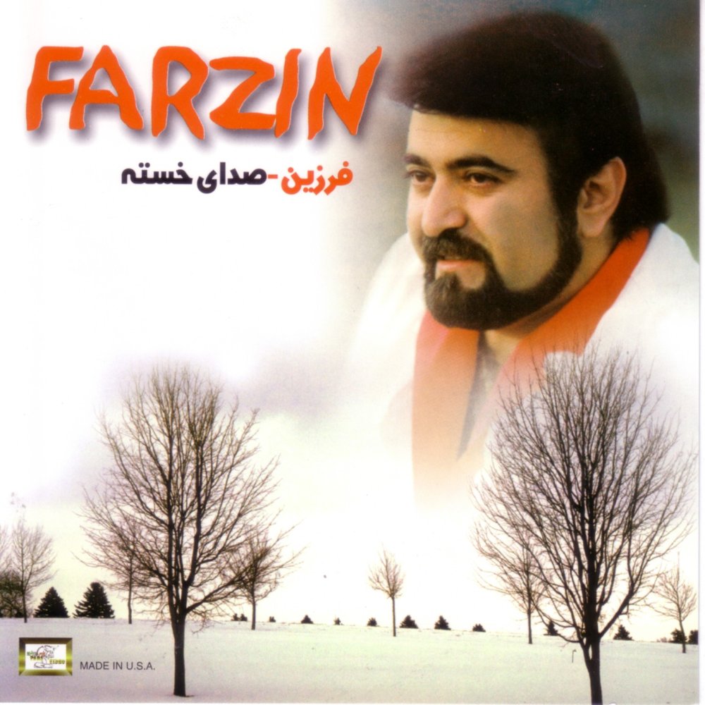 کاور آهنگ زندونی از فرزین