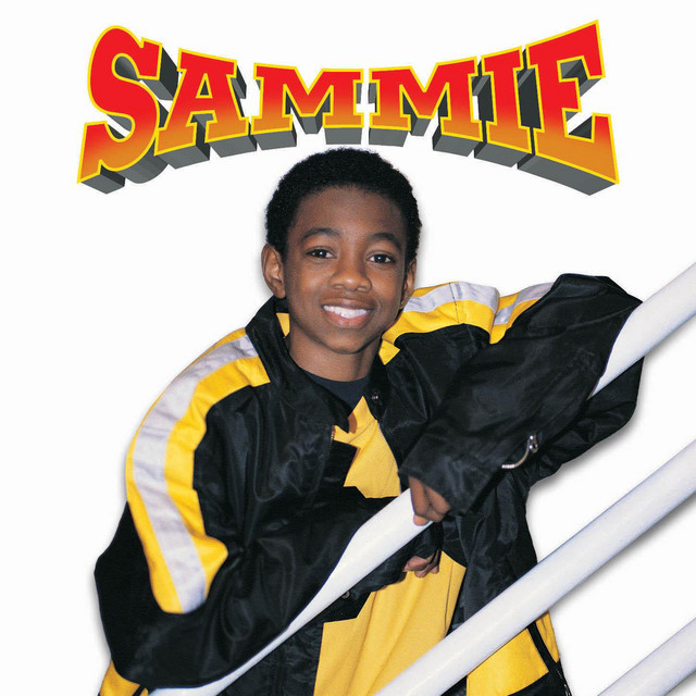 کاور آهنگ I Like It از Sammie