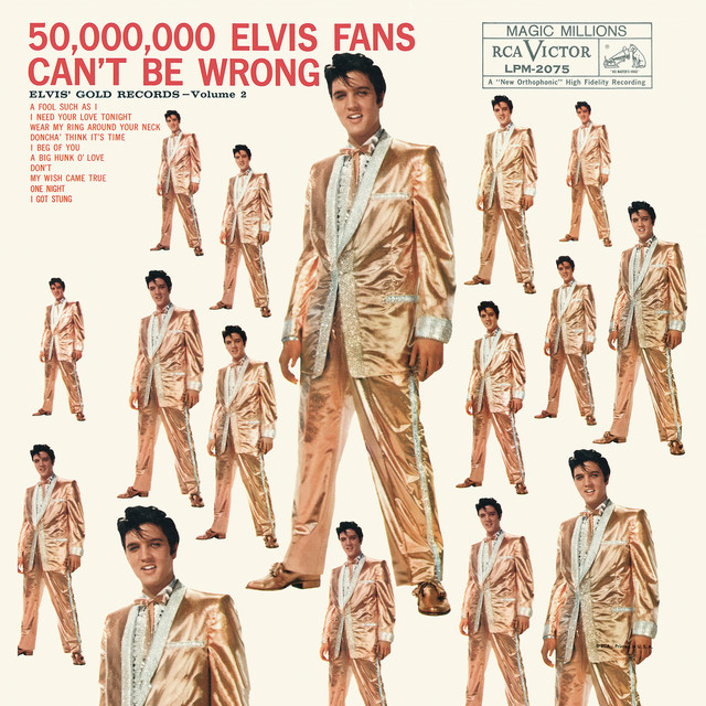 کاور آهنگ I Got Stung از Elvis Presley