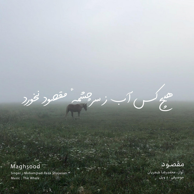 کاور آهنگ مقصود - بازآفرینی اثر محمدرضا شجریان از دِ وِیل