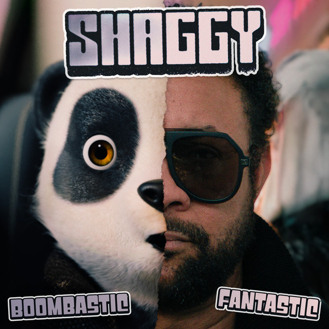 کاور آهنگ Boombastic (Fantastic) از Shaggy