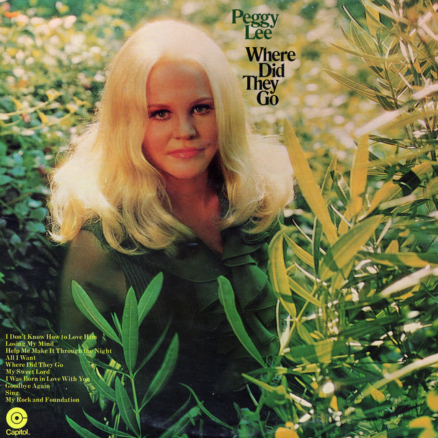 کاور آهنگ Help Me Make It Through The Night از Peggy Lee