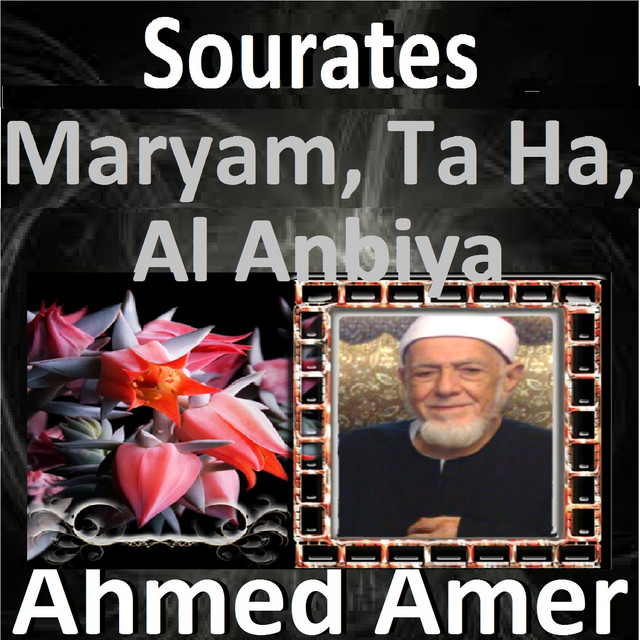 کاور آهنگ Sourate Maryam از Ahmed Amer