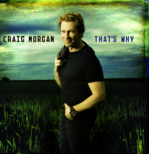 کاور آهنگ Sticks از Craig Morgan