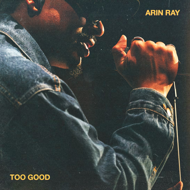کاور آهنگ Too Good از Arin Ray