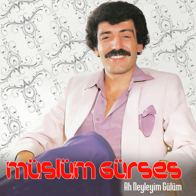 کاور آهنگ Senin Hasretin Varken از Muslum Gurses