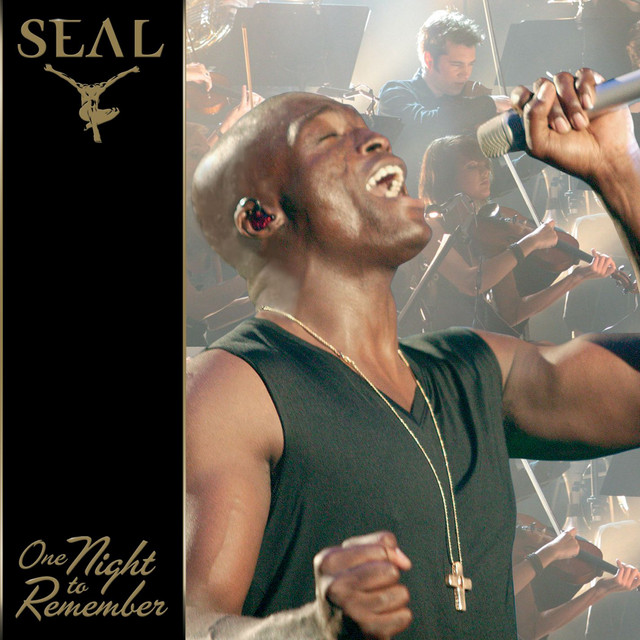 کاور آهنگ Everything Will Be All Right - Live از Seal