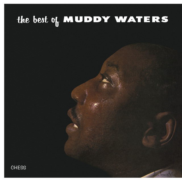 کاور آهنگ I Can't Be Satisfied از Muddy Waters