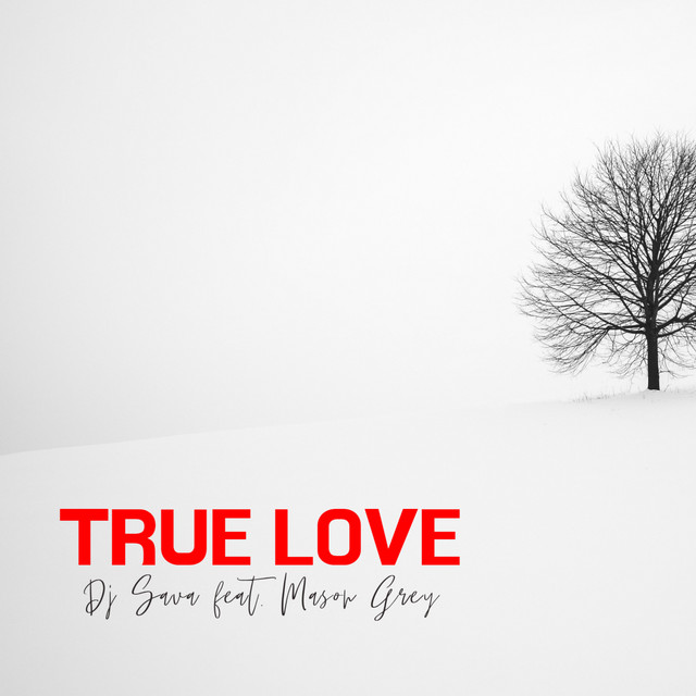 کاور آهنگ True Love از Dj Sava