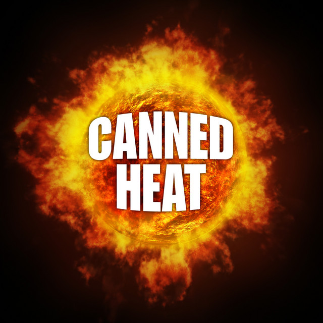 کاور آهنگ Got My Mojo Working از Canned Heat