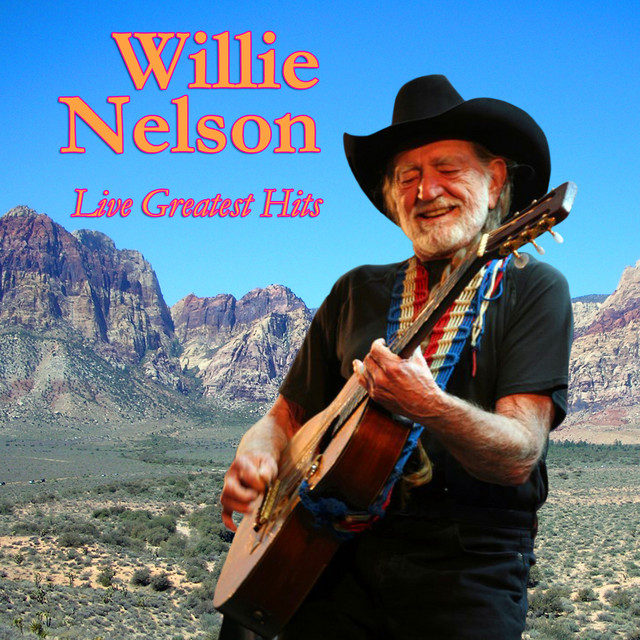 کاور آهنگ Angel Flying Too Close To The Ground از Willie Nelson