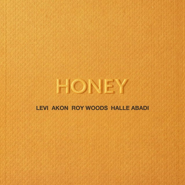 کاور آهنگ HONEY از Akon, Roy Woods, Levi