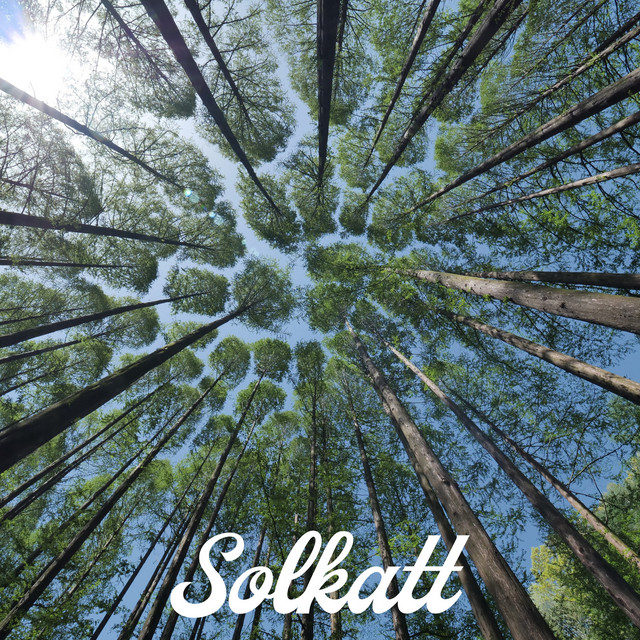 کاور آهنگ Distance از Solkatt