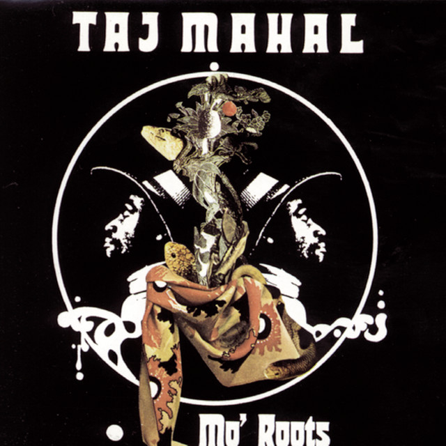 کاور آهنگ Johnny Too Bad از Taj Mahal